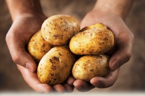 The myth about potatoes and carbohydrates