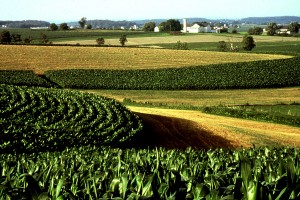 how the farm bill will affect your grocery bill