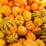 Pumpkin, melons