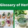 HERBS-A GLOSSARY