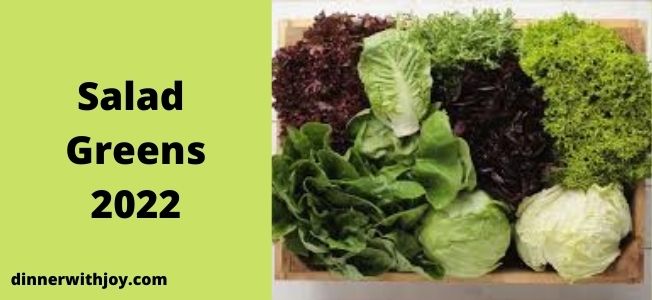 Salad Greens 2022