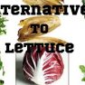 Alternatives To Lettuce
