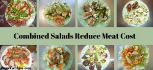 COMBINED SALAD DINNERS-THE PERFECT ENTREES FOR TODAY